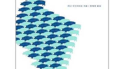 놓치면 후회! 이종우바위에뿌리내린소나무 득템 후기🌲