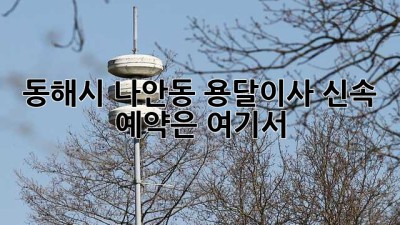 동해시 나안동 용달이사? 신속 예약은 여기서!