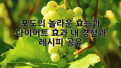 포도의 놀라운 효능과 다이어트 효과! 내 경험과 레시피 공유